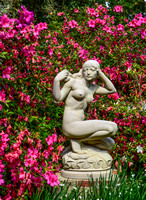 Garden Images and Figures