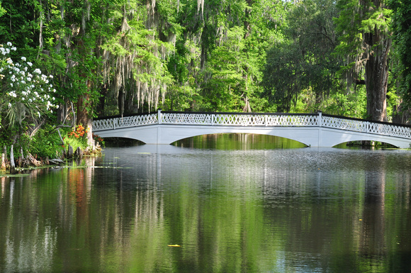 The Bridge at Magnolia Gardens
