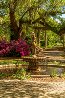 fountain at Airlee in azalea season