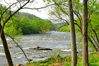 French Broad River in spring